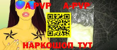 гашик Новозыбков