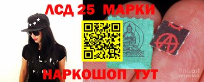 гашик Новозыбков