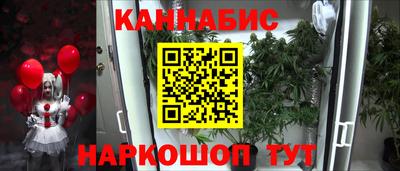 гашик Новокубанск