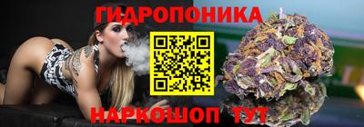 герыч Новодвинск