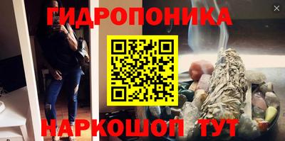 гашик Новозыбков