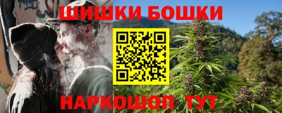 гашик Новозыбков