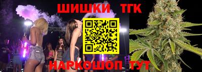гашик Новокубанск
