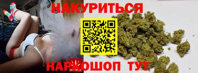 гашик Новокубанск