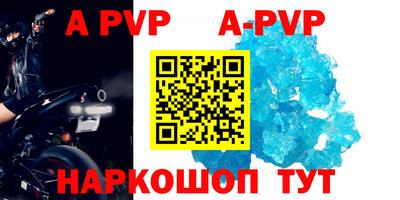 гашик Новокубанск