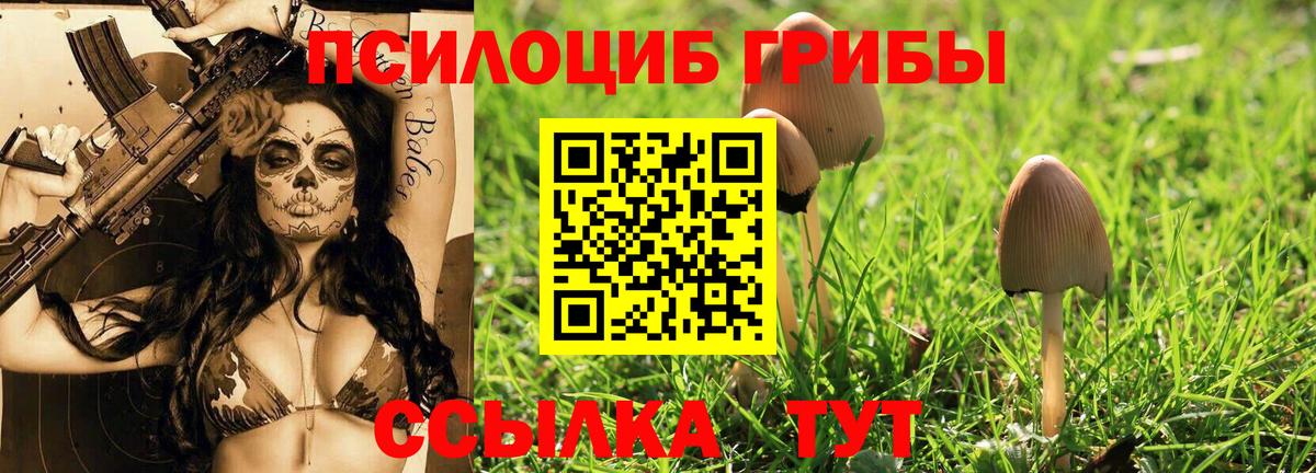 Галлюциногенные грибы GOLDEN TEACHER  Вход с VPN  дарнет шоп  Югорск 